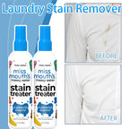 Fast Action Fabric Stain Remover Spray