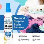 Fast Action Fabric Stain Remover Spray