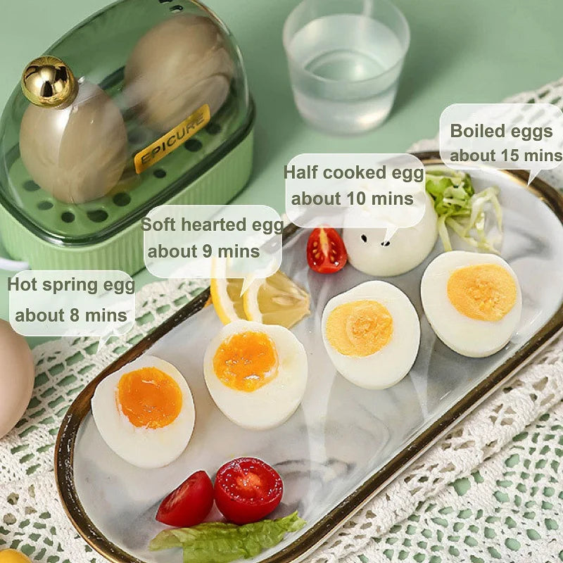 Mini 2 Egg Fast Boiler & Food Steamer